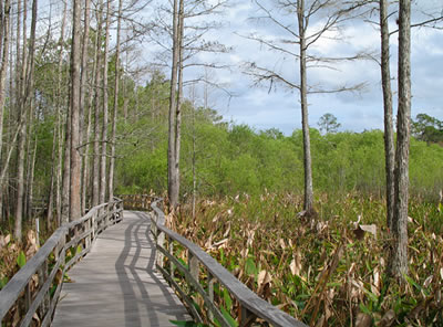 shuttles to Everglades National Park